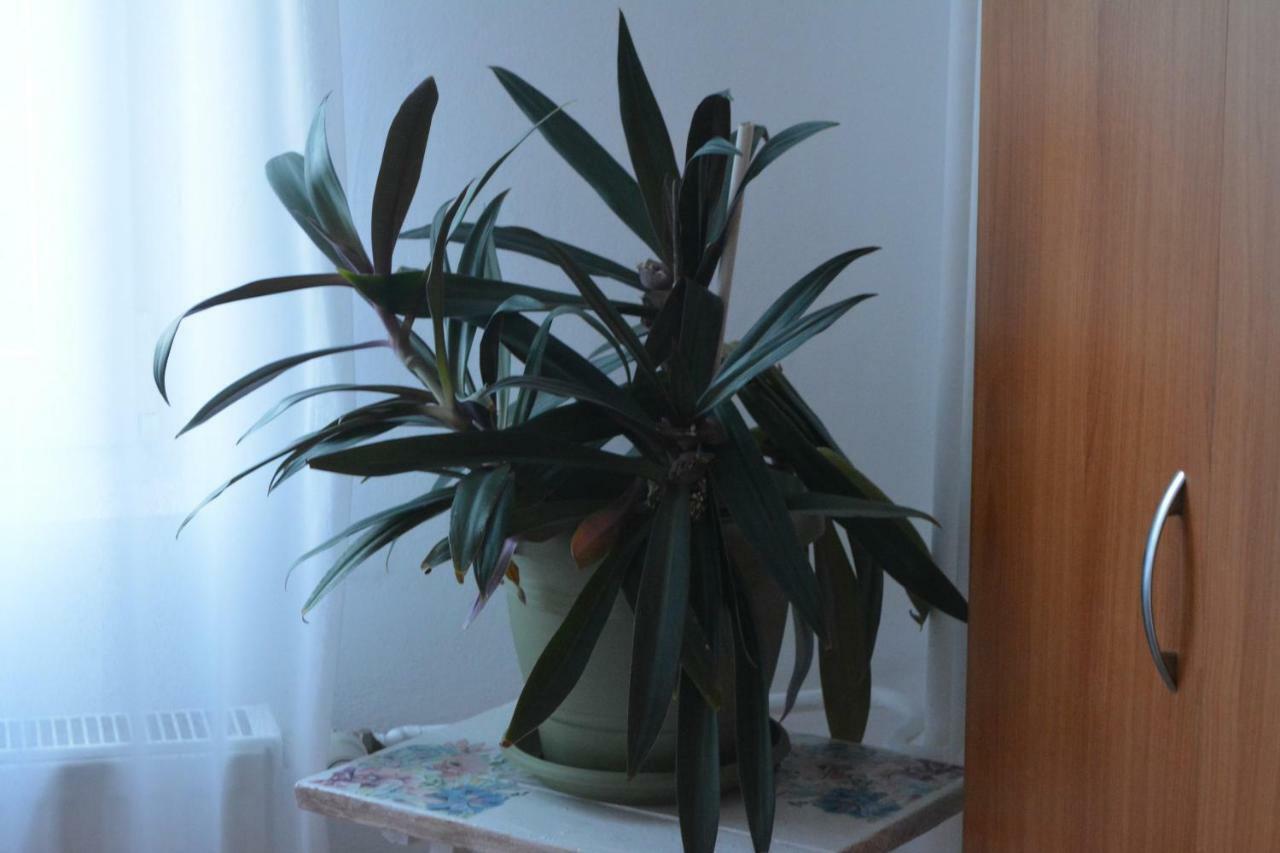 M@D Apartment Тімішоара Екстер'єр фото